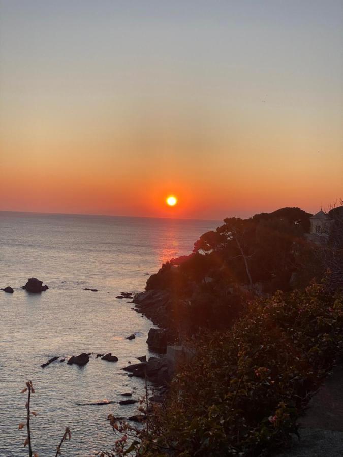 Bogliasco Wine Loft Apartment Exterior photo